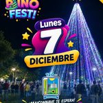 maiso fest (2)